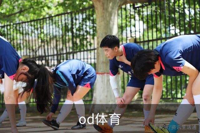 关于od体育